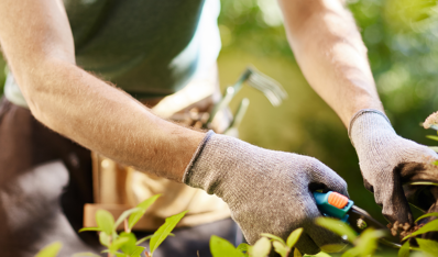Dienstenloket Steenbergen
